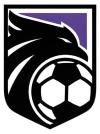 CDE ACADEMIA FENIX-VALLECAS 