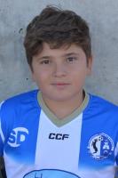 HECTOR