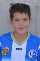 DAVID