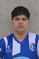 DAVID MARIO