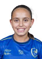 INES