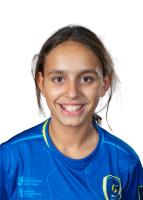 INES