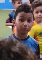 Nestor