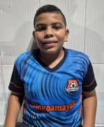 Milan Gerard