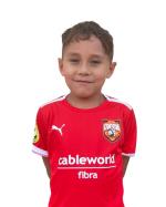 Gabriel David