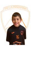ILAN