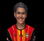  LUIS