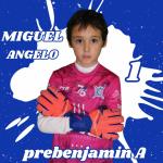 Miguel Angelo