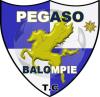 CD PEGASO 3 CANTOS B