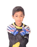 ANDRES