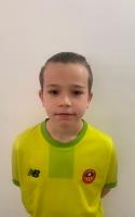 Sergi